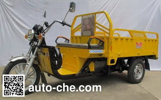 Электрический грузовой мото трицикл Chuanye CY3000DZH