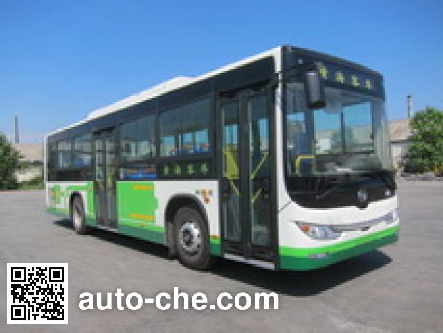 Гибридный городской автобус Huanghai DD6109CHEV6