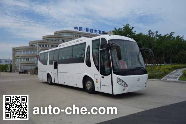 Электрический автобус Xingkailong HFX6120BEVK07