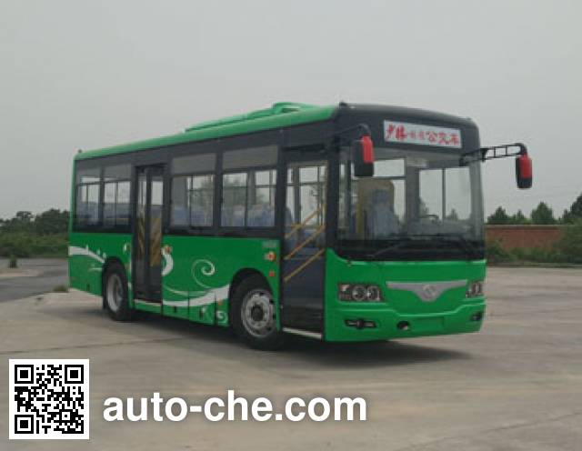 Электрический городской автобус Shaolin SLG6822EVG