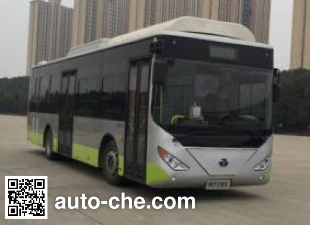 Электрический городской автобус Yangtse WG6119BEVHD1