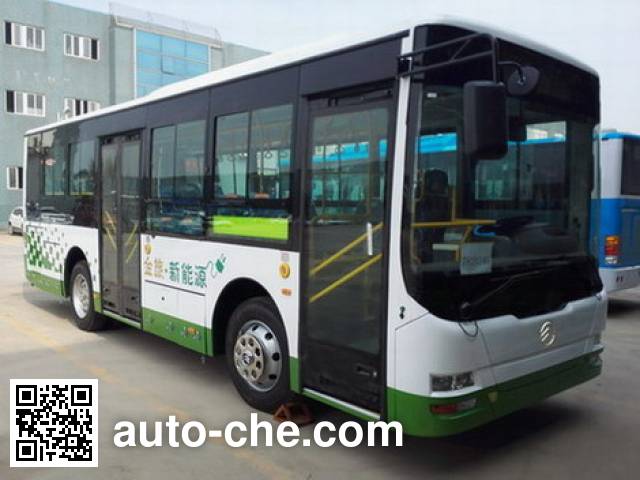 Гибридный городской автобус Golden Dragon XML6855JHEVA8C