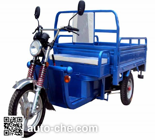 Электрический грузовой мото трицикл Fuxinyang XY3000DZH-A