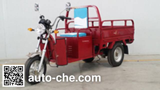 Электрический грузовой мото трицикл Yadea YD3000DZH