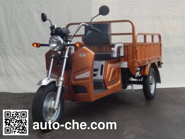 Электрический грузовой мото трицикл Zhaorun ZR3000DZH