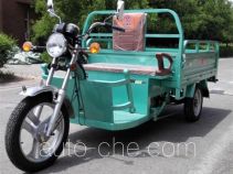 Электрический грузовой мото трицикл Byvin BDW5000DZH