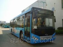 Гибридный городской автобус Wuzhoulong FDG6121HEVG