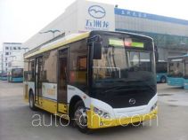 Электрический городской автобус Wuzhoulong FDG6751EVG1