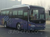 Электрический городской автобус Zhongtong LCK6850EVG