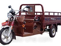 Электрический грузовой мото трицикл Shuangqiang SQ4500DZH-5C