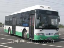 Электрический городской автобус Yangtse WG6100BEVHM4