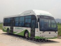 Электрический городской автобус Yangtse WG6129BEVH